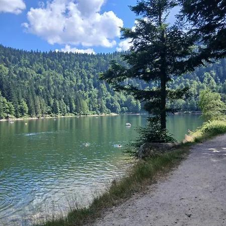 Leon Chalet Basse-sur-le-Rupt