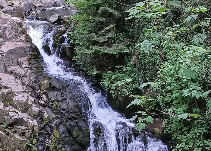 Horská chata Leon *